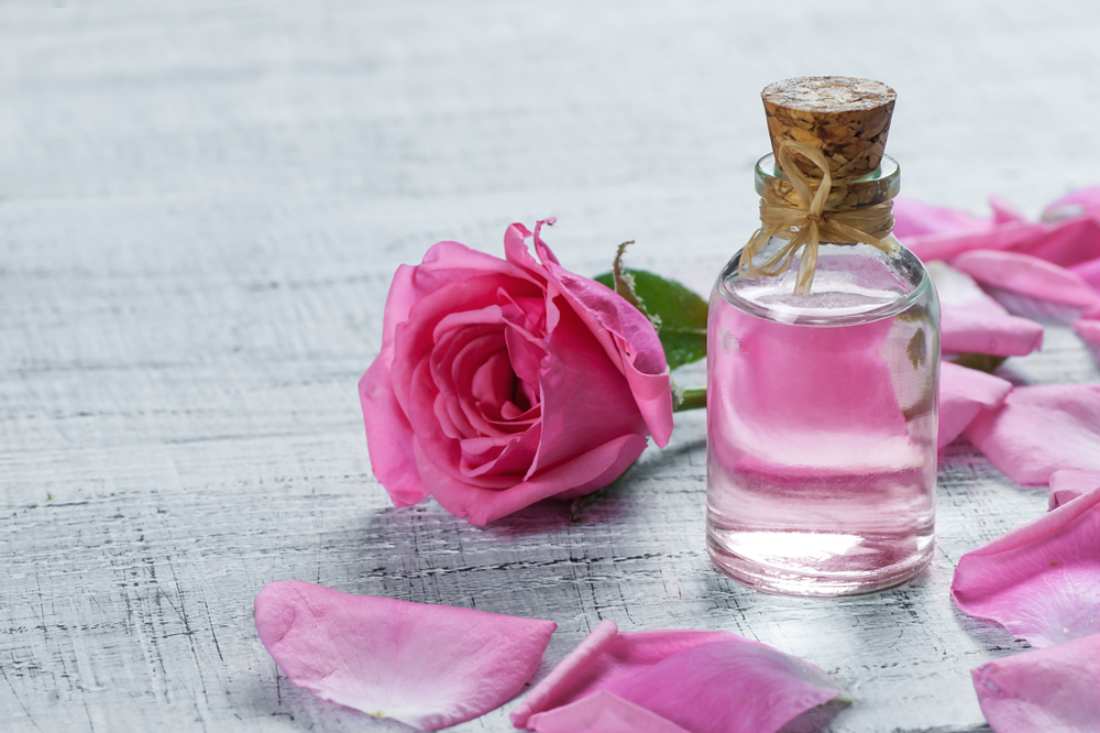 How to Use the Rose: A Guide to Symbolism, Healing, and Creativity