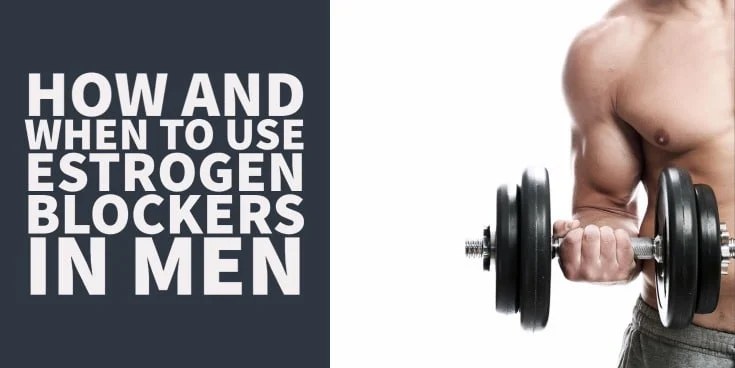 Estrogen Blocker for Men: Benefits, Uses, and Considerations