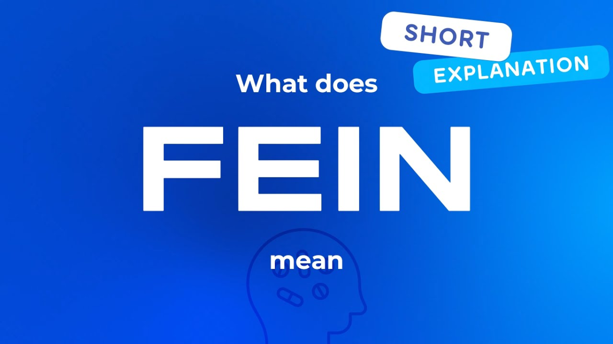 What Does Fien Mean? A Deep Dive into Its Meaning and Usage